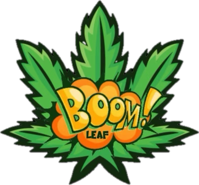 Boom Leaf